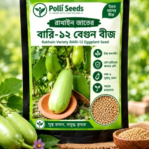 বারি-১২ বেগুনের বীজ