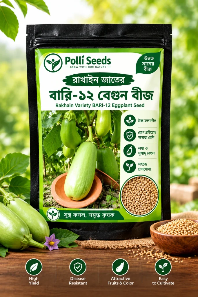 বারি-১২ বেগুনের বীজ